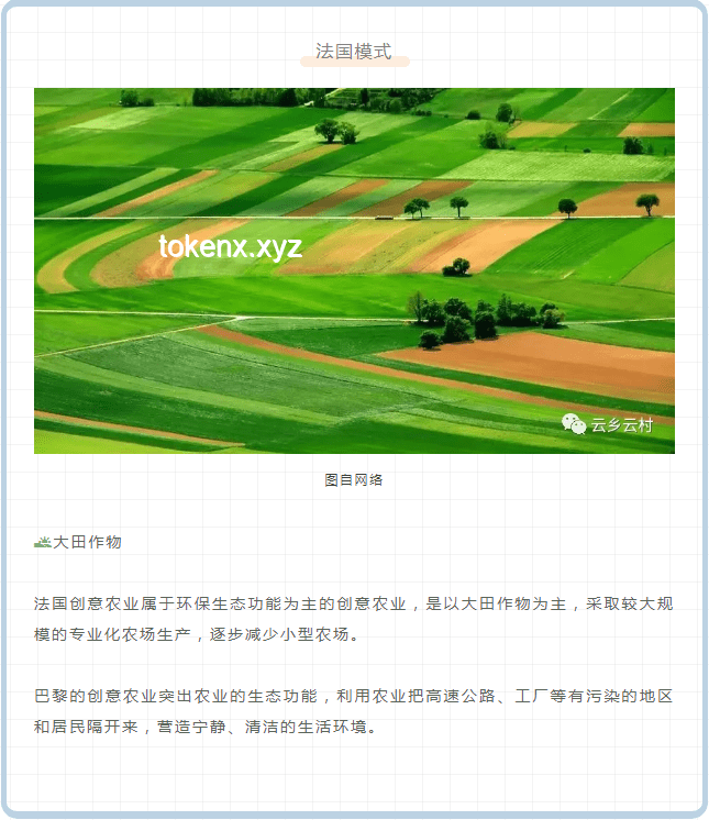“禾下乘凉梦”的继承与发扬：农业科技的未来趋势与展望